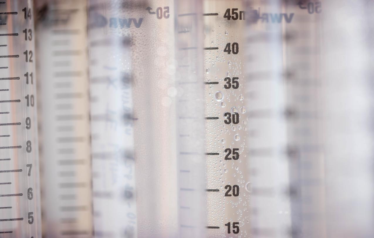 Rheumatology | Department Of Pediatrics